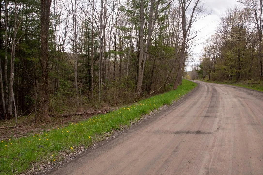 Lang Road, Spencer, New York 14883, Spencer, New York 14883, ,Land,Closed,Lang Road, Spencer, New York 14883,0,R1578657