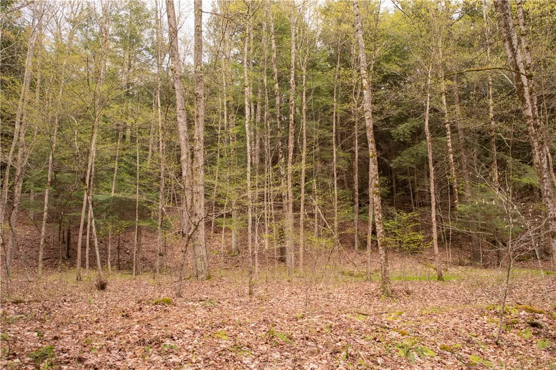 Lang Road, Spencer, New York 14883, Spencer, New York 14883, ,Land,Closed,Lang Road, Spencer, New York 14883,0,R1578657