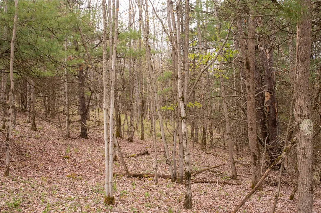 Lang Road, Spencer, New York 14883, Spencer, New York 14883, ,Land,Closed,Lang Road, Spencer, New York 14883,0,R1578657