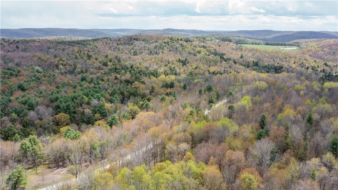 Lang Road, Spencer, New York 14883, Spencer, New York 14883, ,Land,Closed,Lang Road, Spencer, New York 14883,0,R1578657