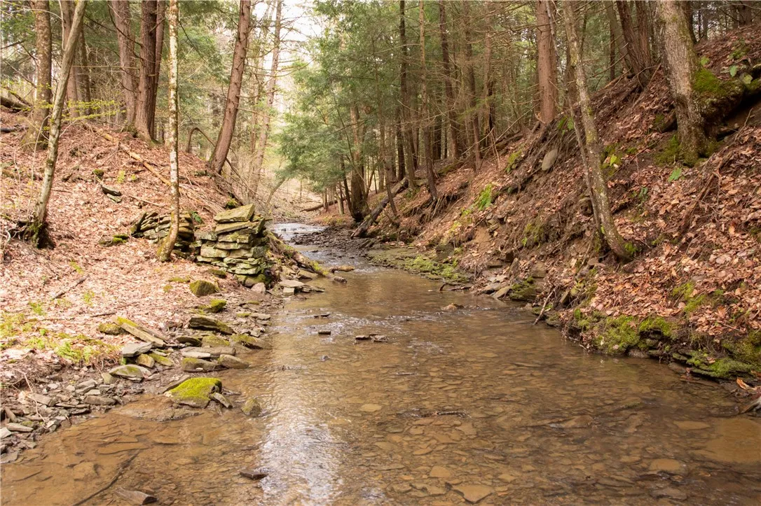 Lang Road, Spencer, New York 14883, Spencer, New York 14883, ,Land,Closed,Lang Road, Spencer, New York 14883,0,R1578657