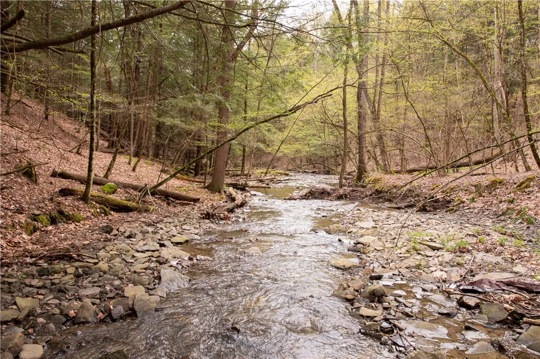 Lang Road, Spencer, New York 14883, Spencer, New York 14883, ,Land,Closed,Lang Road, Spencer, New York 14883,0,R1578657