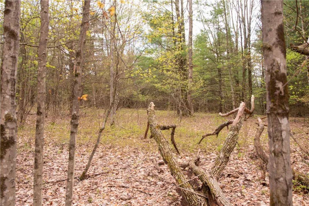 Lang Road, Spencer, New York 14883, Spencer, New York 14883, ,Land,Closed,Lang Road, Spencer, New York 14883,0,R1578657