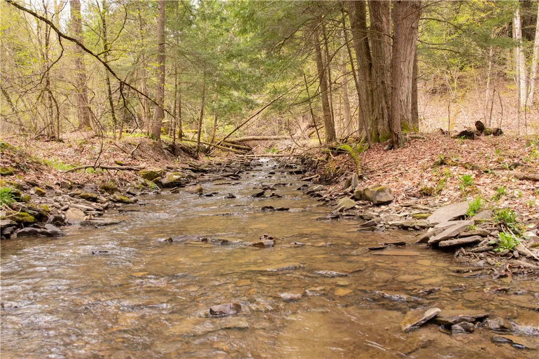 Lang Road, Spencer, New York 14883, Spencer, New York 14883, ,Land,Closed,Lang Road, Spencer, New York 14883,0,R1578657