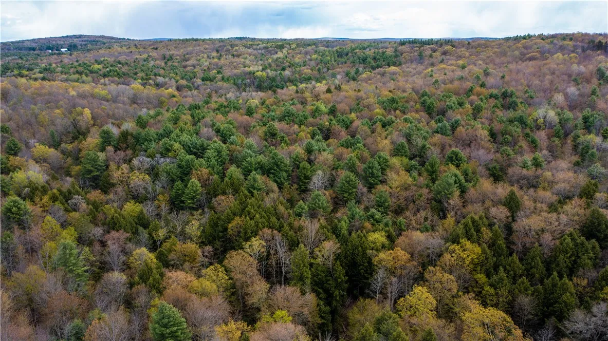 Lang Road, Spencer, New York 14883, Spencer, New York 14883, ,Land,Closed,Lang Road, Spencer, New York 14883,0,R1578657