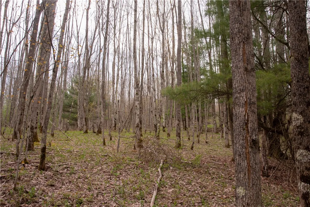 Lang Road, Spencer, New York 14883, Spencer, New York 14883, ,Land,Closed,Lang Road, Spencer, New York 14883,0,R1578657