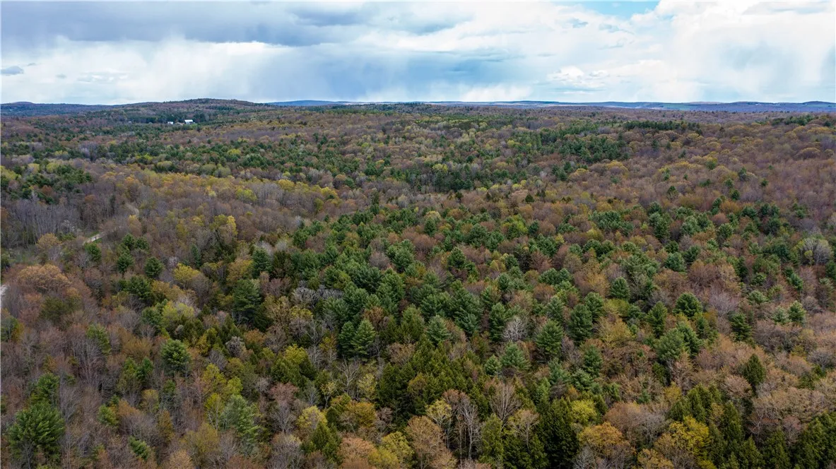 Lang Road, Spencer, New York 14883, Spencer, New York 14883, ,Land,Closed,Lang Road, Spencer, New York 14883,0,R1578657