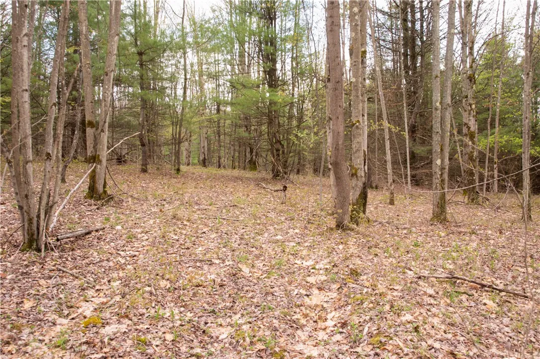 Lang Road, Spencer, New York 14883, Spencer, New York 14883, ,Land,Closed,Lang Road, Spencer, New York 14883,0,R1578657