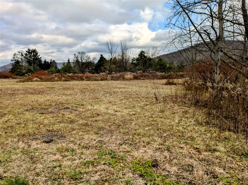 1111 South Avenue, Bradford-town, Pennsylvania 167, Bradford Town, Pennsylvania 16701, ,Land,Closed,1111 South Avenue, Bradford-town, Pennsylvania 167,0,R1578481