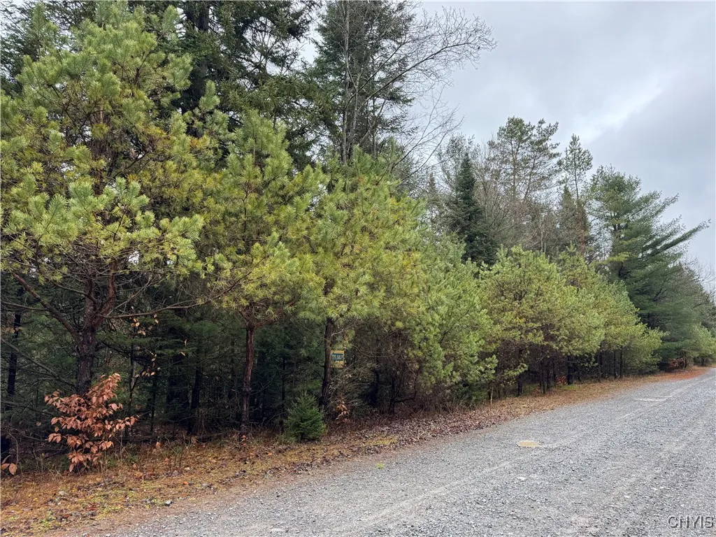 Lot #3 Black Bear Bend, Boonville, New York 13301, Boonville, New York 13301, ,Land,Closed,Lot #3 Black Bear Bend, Boonville, New York 13301,S1578725