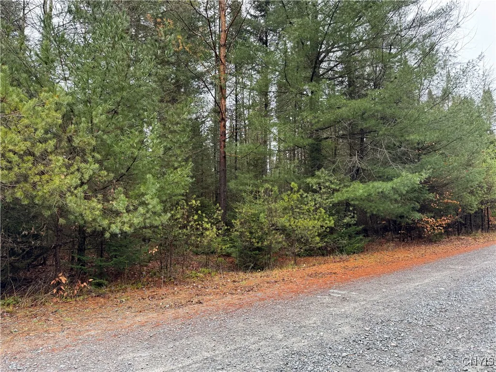 Lot #3 Black Bear Bend, Boonville, New York 13301, Boonville, New York 13301, ,Land,Closed,Lot #3 Black Bear Bend, Boonville, New York 13301,S1578725