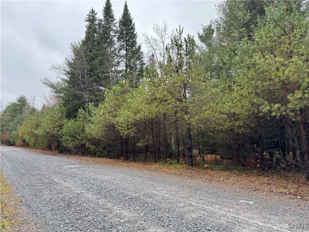 Lot #3 Black Bear Bend, Boonville, New York 13301, Boonville, New York 13301, ,Land,Closed,Lot #3 Black Bear Bend, Boonville, New York 13301,S1578725