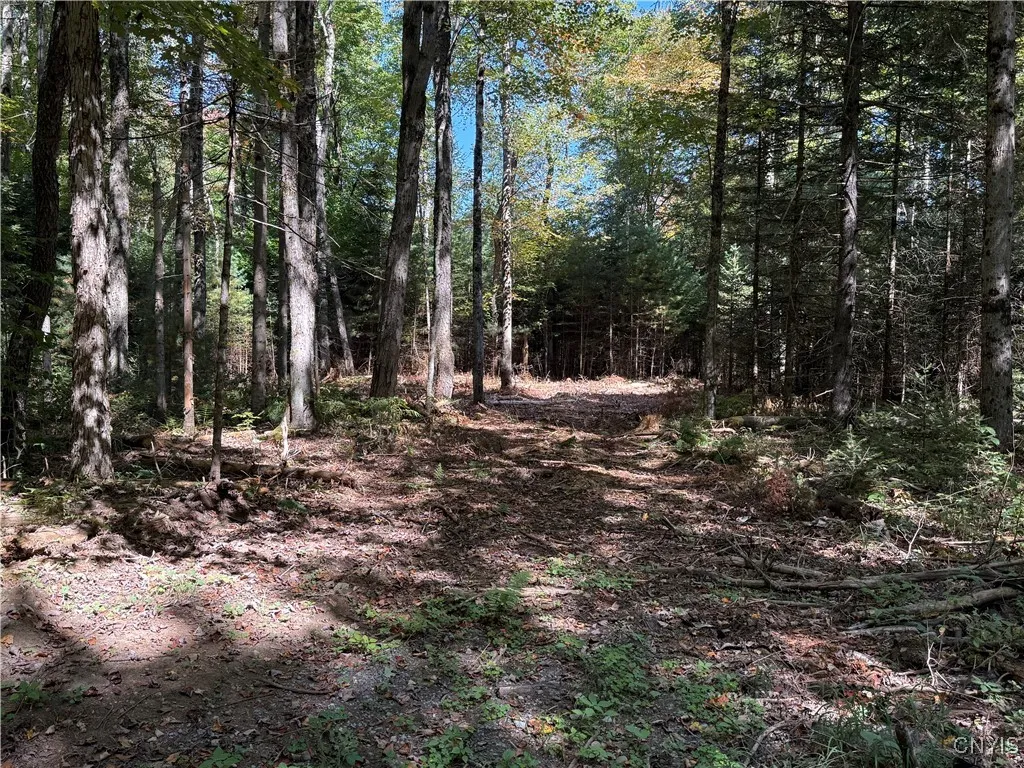 Lot #1 Beaver Trail, Boonville, New York 13301, Boonville, New York 13301, ,Land,For Sale,Lot #1 Beaver Trail, Boonville, New York 13301,0,S1578724
