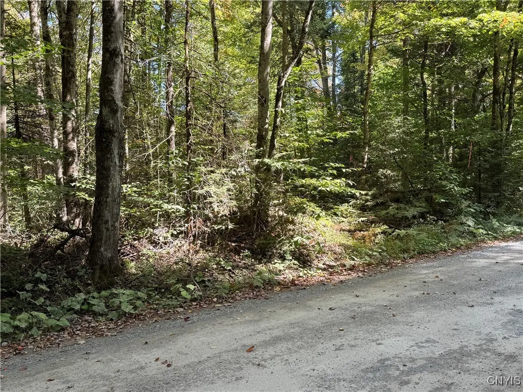 Lot #1 Beaver Trail, Boonville, New York 13301, Boonville, New York 13301, ,Land,For Sale,Lot #1 Beaver Trail, Boonville, New York 13301,0,S1578724