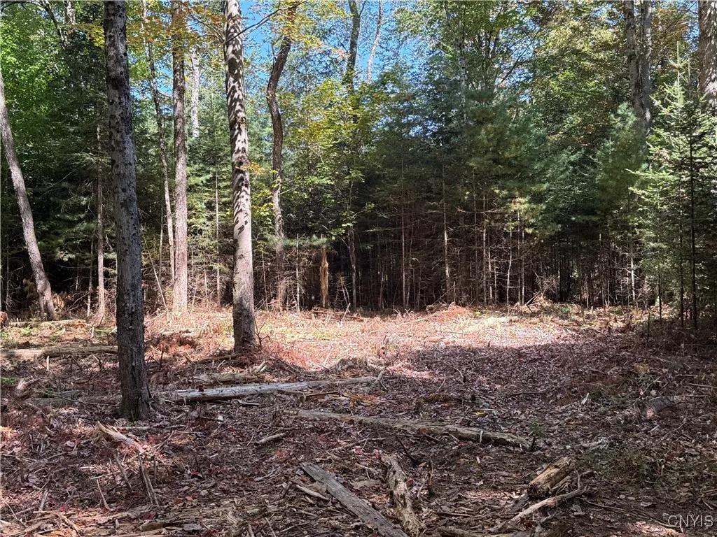 Lot #1 Beaver Trail, Boonville, New York 13301, Boonville, New York 13301, ,Land,For Sale,Lot #1 Beaver Trail, Boonville, New York 13301,0,S1578724