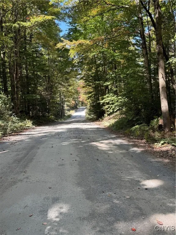 Lot #1 Beaver Trail, Boonville, New York 13301, Boonville, New York 13301, ,Land,For Sale,Lot #1 Beaver Trail, Boonville, New York 13301,0,S1578724