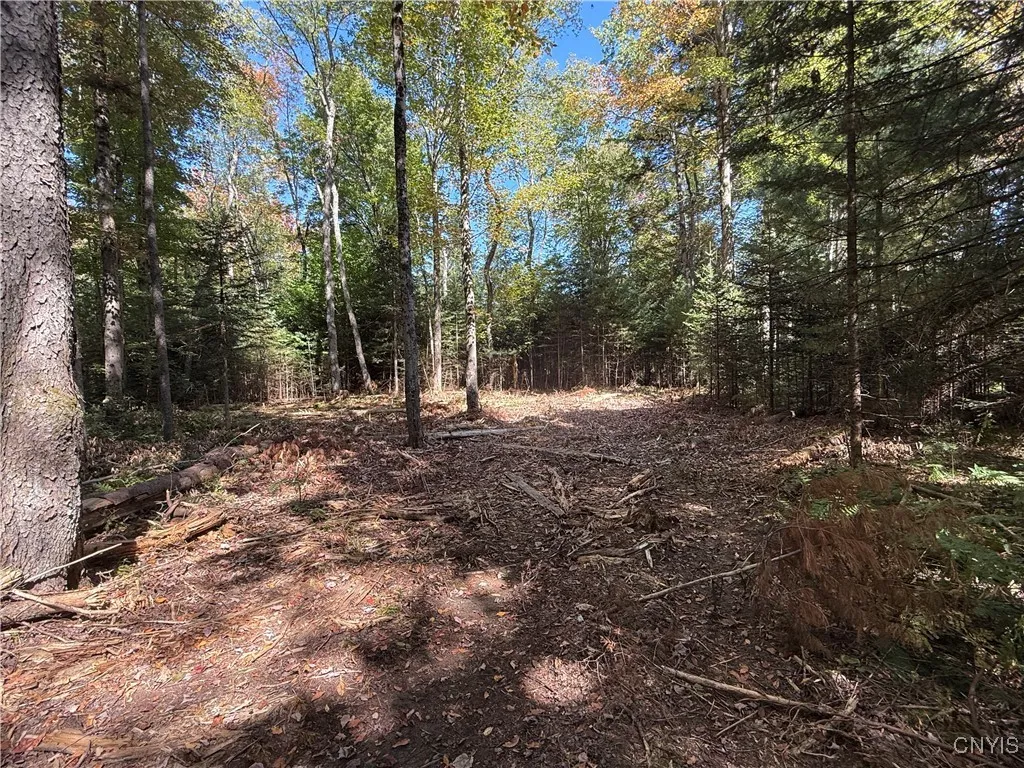 Lot #1 Beaver Trail, Boonville, New York 13301, Boonville, New York 13301, ,Land,For Sale,Lot #1 Beaver Trail, Boonville, New York 13301,0,S1578724