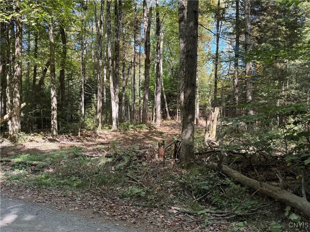 Lot #1 Beaver Trail, Boonville, New York 13301, Boonville, New York 13301, ,Land,For Sale,Lot #1 Beaver Trail, Boonville, New York 13301,0,S1578724