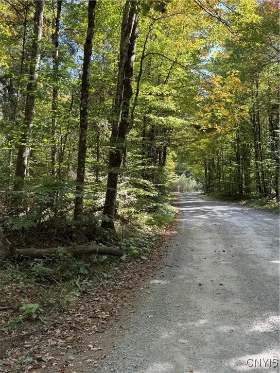 Lot #1 Beaver Trail, Boonville, New York 13301, Boonville, New York 13301, ,Land,For Sale,Lot #1 Beaver Trail, Boonville, New York 13301,0,S1578724