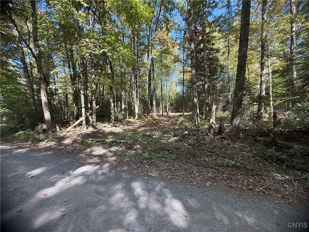 Lot #1 Beaver Trail, Boonville, New York 13301, Boonville, New York 13301, ,Land,For Sale,Lot #1 Beaver Trail, Boonville, New York 13301,0,S1578724