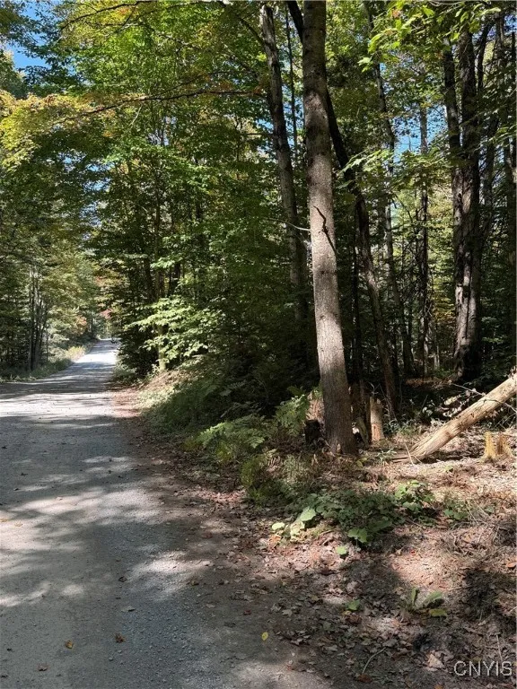 Lot #1 Beaver Trail, Boonville, New York 13301, Boonville, New York 13301, ,Land,For Sale,Lot #1 Beaver Trail, Boonville, New York 13301,0,S1578724