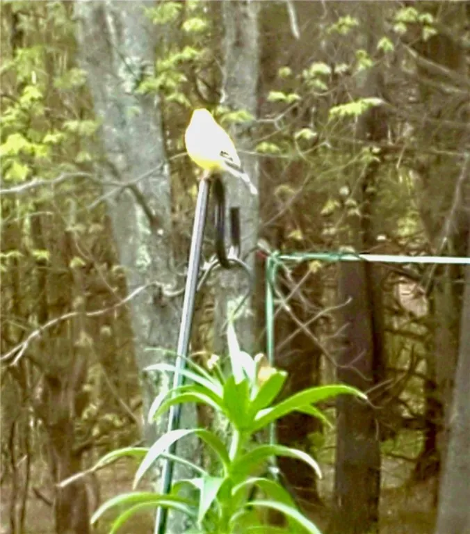 1937 Gibson Hill Road, Franklin, New York 13775, Franklin, New York 13775, 3 Bedrooms Bedrooms, 7 Rooms Rooms,1 BathroomBathrooms,Residential,For Sale,1937 Gibson Hill Road, Franklin, New York 13775,0,R1579068