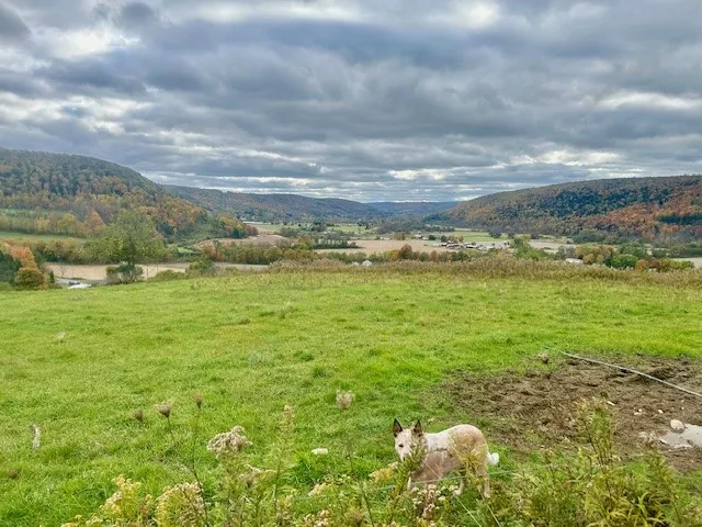 7898 State Highway 12, Sherburne, New York 13460, Sherburne, New York 13460, 3 Bedrooms Bedrooms, 17 Rooms Rooms,2 BathroomsBathrooms,Residential,For Sale,7898 State Highway 12, Sherburne, New York 13460,0,R1579210