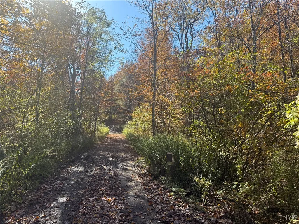 View from the access road off of Cordoroy Road.