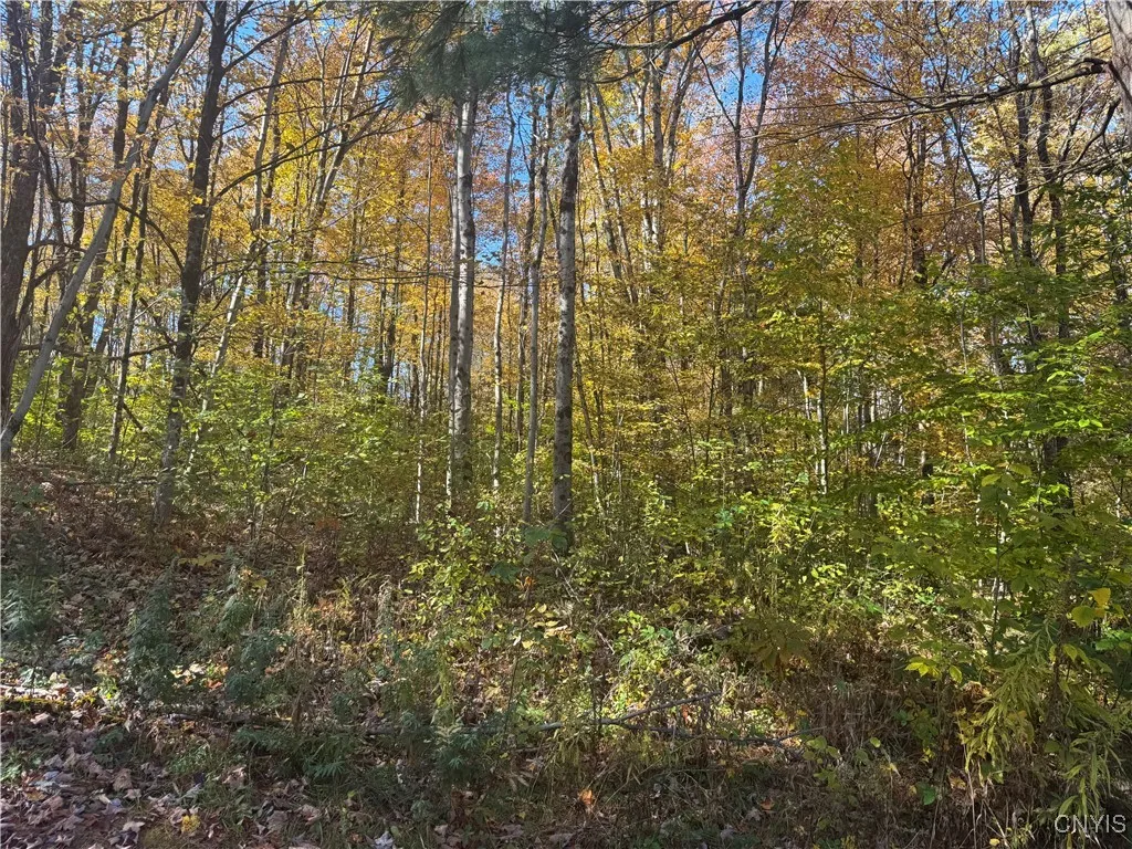 View from the access road off of Cordoroy Road.