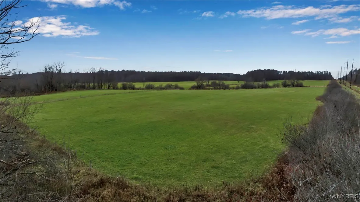 Vl Newton Road, Orchard Park, New York 14127, Orchard Park, New York 14127, ,Land,Closed,Vl Newton Road, Orchard Park, New York 14127,0,B1578578