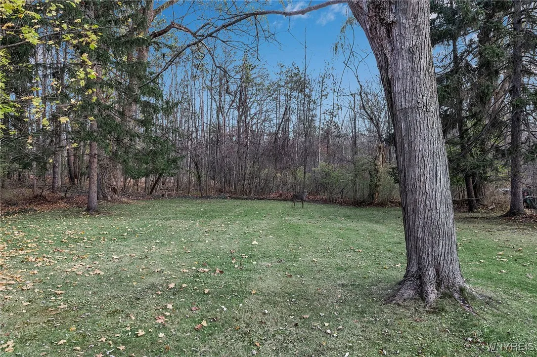 145 Chauncey Lane, Orchard Park, New York 14127, Orchard Park, New York 14127, 5 Bedrooms Bedrooms, 9 Rooms Rooms,3 BathroomsBathrooms,Residential,Closed,145 Chauncey Lane, Orchard Park, New York 14127,0,B1579182