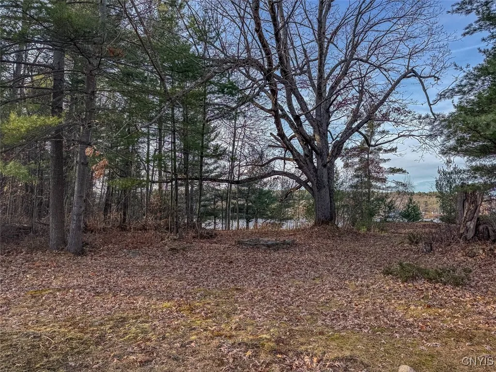 Sweet Point Road, Theresa, New York 13679, Theresa, New York 13679, ,Land,For Sale,Sweet Point Road, Theresa, New York 13679,0,S1579729