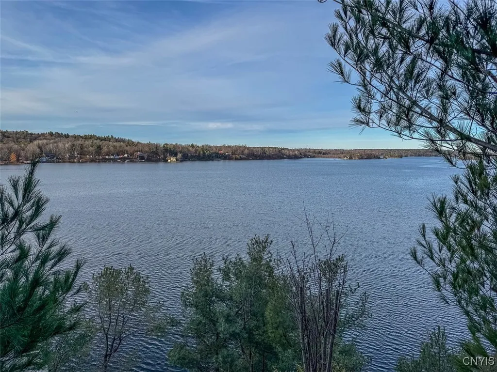 Sweet Point Road, Theresa, New York 13679, Theresa, New York 13679, ,Land,For Sale,Sweet Point Road, Theresa, New York 13679,0,S1579729