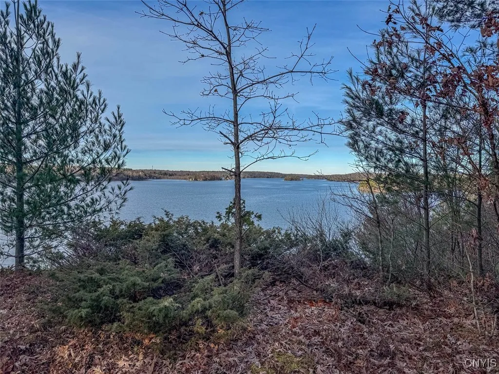 Sweet Point Road, Theresa, New York 13679, Theresa, New York 13679, ,Land,For Sale,Sweet Point Road, Theresa, New York 13679,0,S1579729