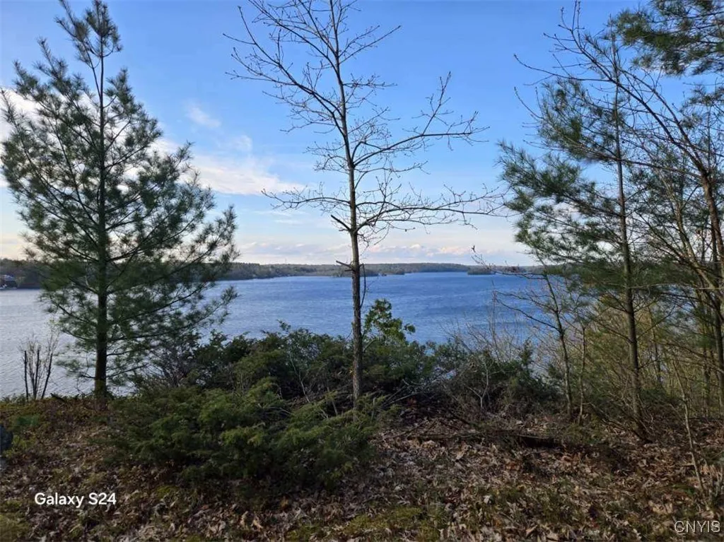 Sweet Point Road, Theresa, New York 13679, Theresa, New York 13679, ,Land,For Sale,Sweet Point Road, Theresa, New York 13679,0,S1579729