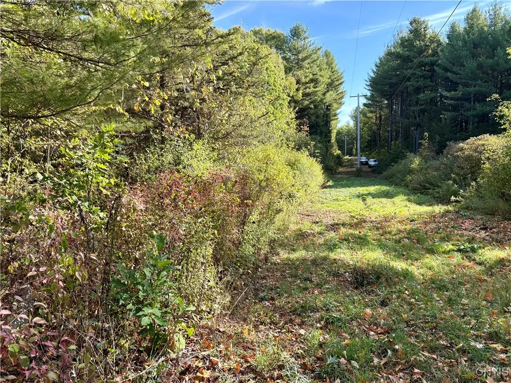 Sweet Point Road, Alexandria, New York 13607, Alexandria, New York 13607, ,Land,For Sale,Sweet Point Road, Alexandria, New York 13607,0,S1578873