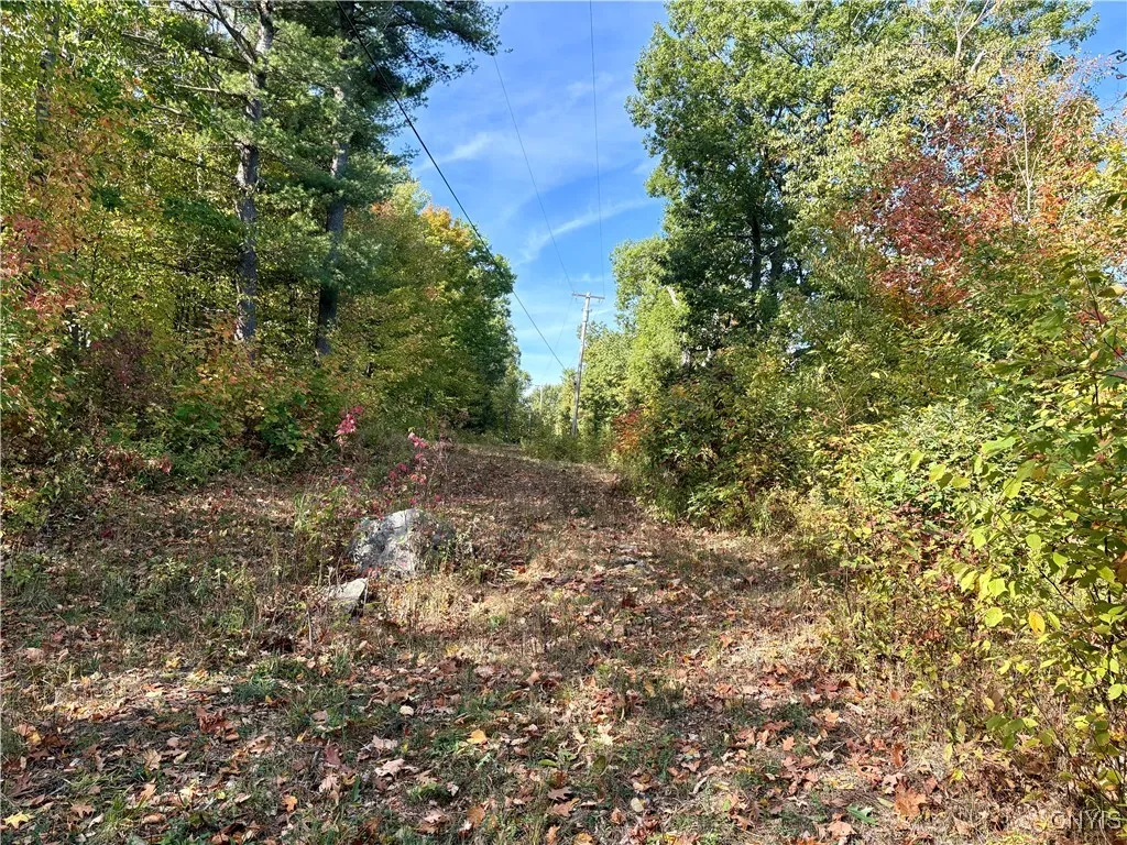 Sweet Point Road, Alexandria, New York 13607, Alexandria, New York 13607, ,Land,For Sale,Sweet Point Road, Alexandria, New York 13607,0,S1578873