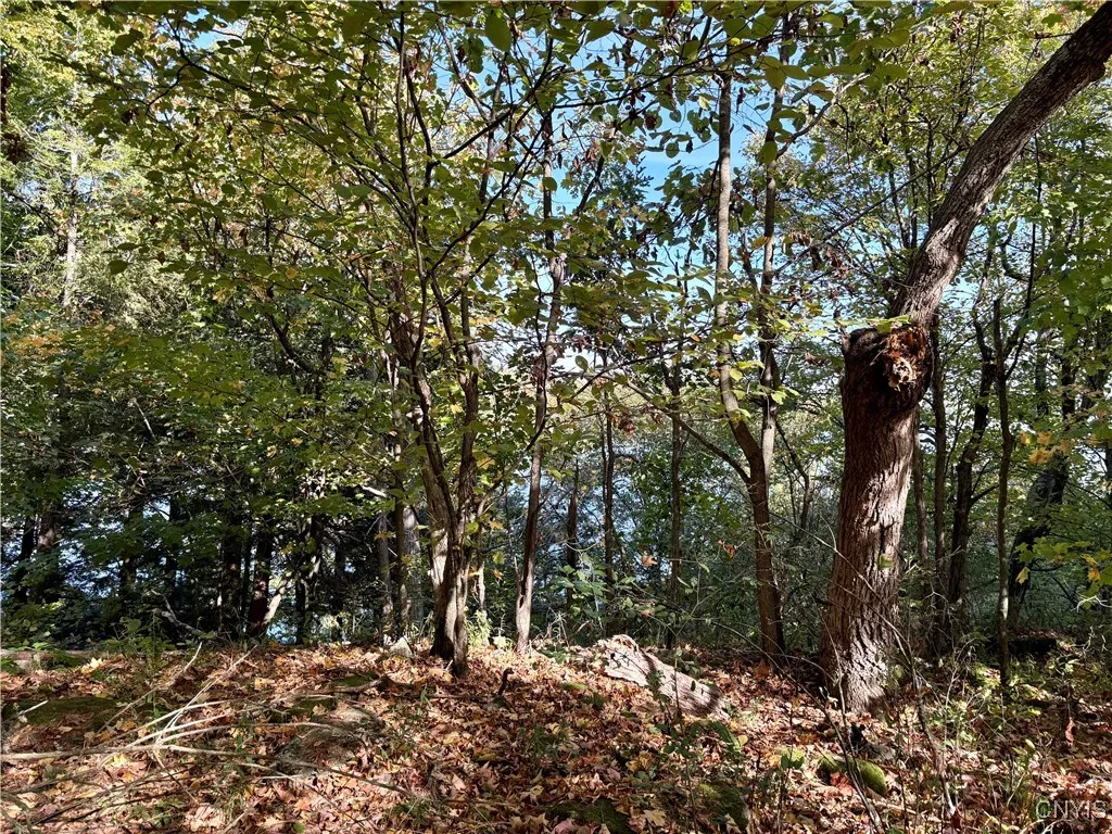 Sweet Point Road, Alexandria, New York 13607, Alexandria, New York 13607, ,Land,For Sale,Sweet Point Road, Alexandria, New York 13607,0,S1578873