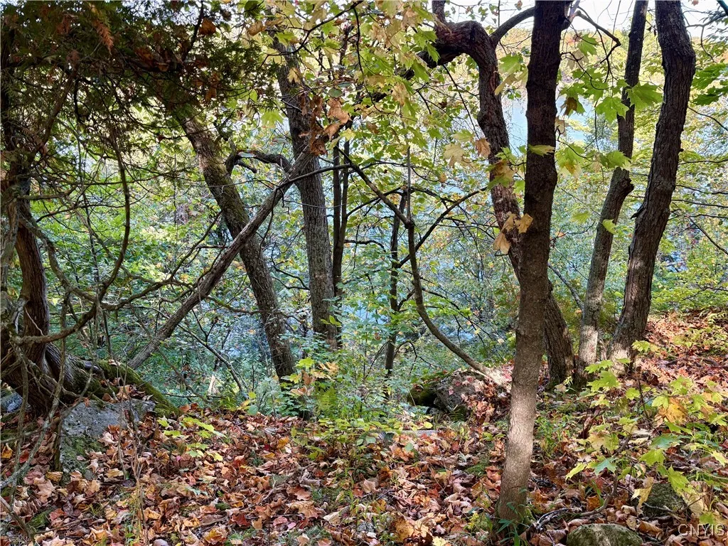 Sweet Point Road, Alexandria, New York 13607, Alexandria, New York 13607, ,Land,For Sale,Sweet Point Road, Alexandria, New York 13607,0,S1578873