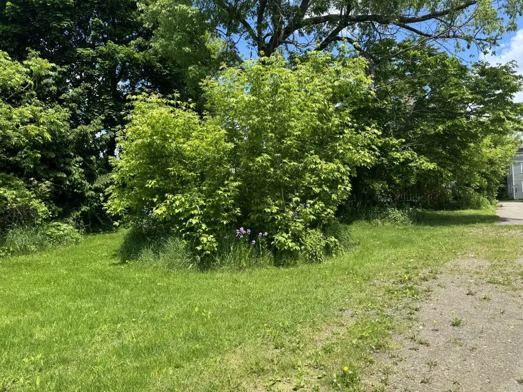 82 West Main Street, Milford, New York 13807, Milford, New York 13807, 5 Bedrooms Bedrooms, ,3 BathroomsBathrooms,Residential,For Sale,82 West Main Street, Milford, New York 13807,R1580844