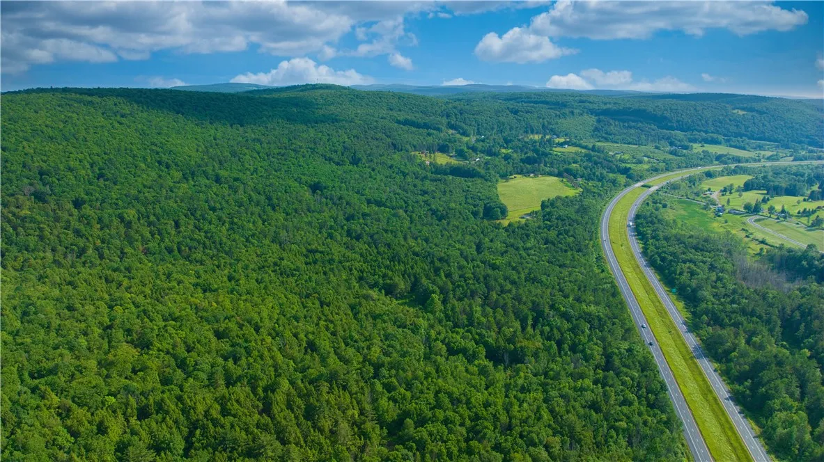 0 Pine Hill Road, Sidney, New York 13838, Sidney, New York 13838, ,Land,For Sale,0 Pine Hill Road, Sidney, New York 13838,R1581911