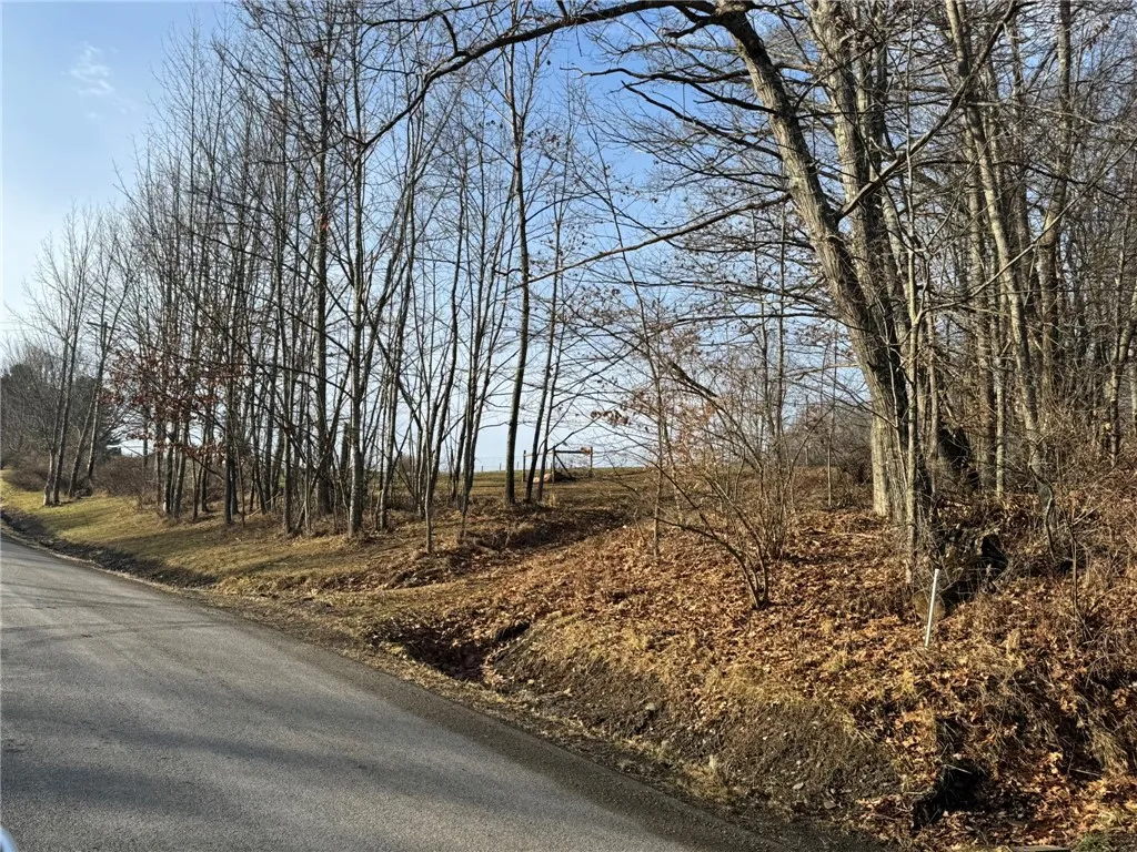 0 Pine Hill Road, Sidney, New York 13838, Sidney, New York 13838, ,Land,For Sale,0 Pine Hill Road, Sidney, New York 13838,R1581911