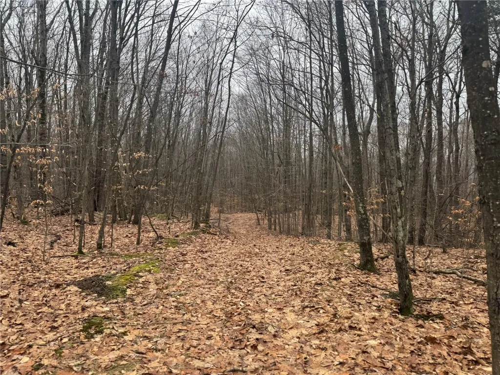 0 Pine Hill Road, Sidney, New York 13838, Sidney, New York 13838, ,Land,For Sale,0 Pine Hill Road, Sidney, New York 13838,R1581911
