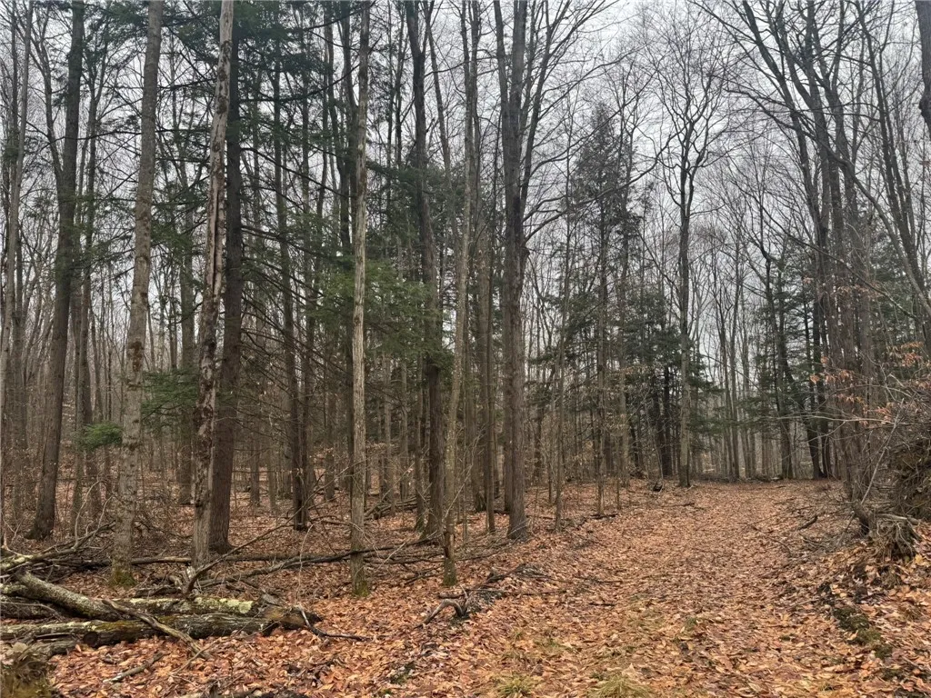 0 Pine Hill Road, Sidney, New York 13838, Sidney, New York 13838, ,Land,For Sale,0 Pine Hill Road, Sidney, New York 13838,R1581911