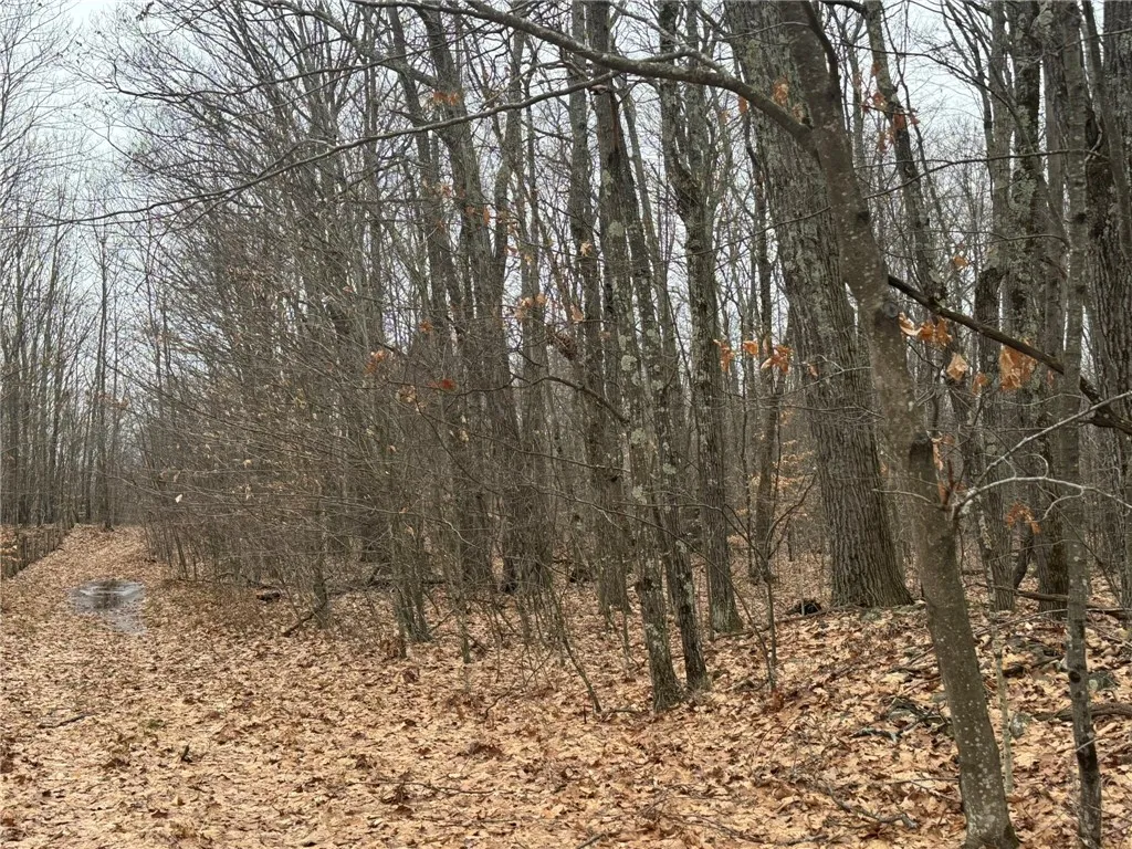 0 Pine Hill Road, Sidney, New York 13838, Sidney, New York 13838, ,Land,For Sale,0 Pine Hill Road, Sidney, New York 13838,R1581911