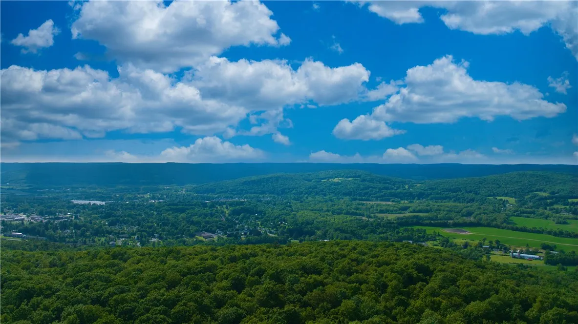 0 Pine Hill Road, Sidney, New York 13838, Sidney, New York 13838, ,Land,For Sale,0 Pine Hill Road, Sidney, New York 13838,R1581911
