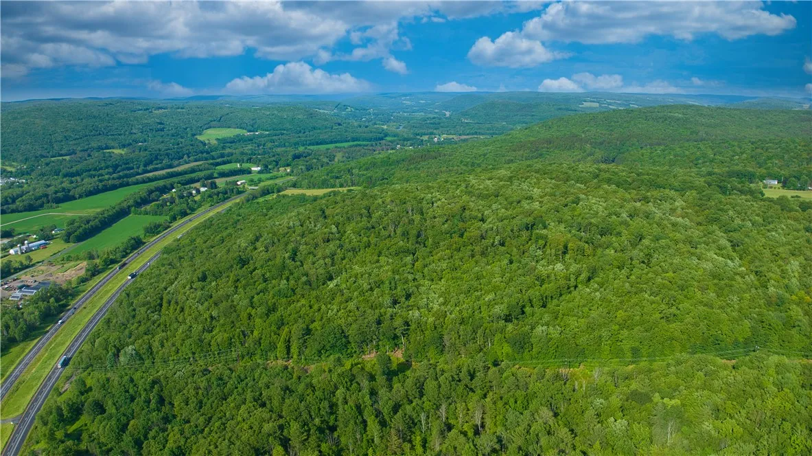 0 Pine Hill Road, Sidney, New York 13838, Sidney, New York 13838, ,Land,For Sale,0 Pine Hill Road, Sidney, New York 13838,R1581911
