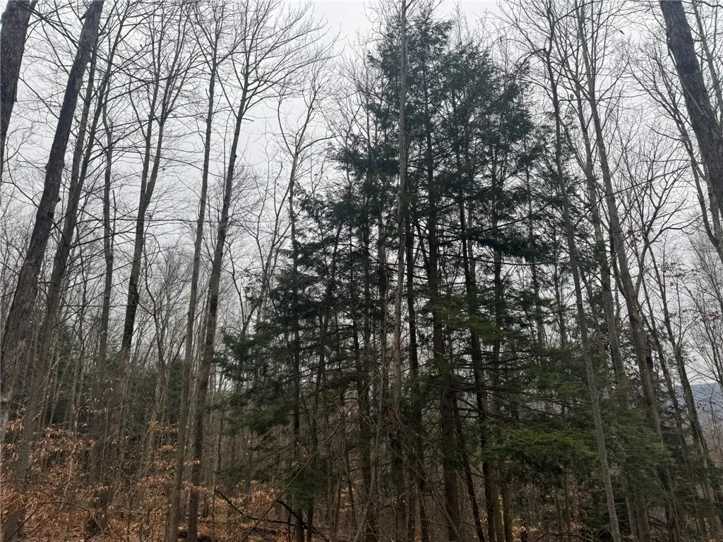 0 Pine Hill Road, Sidney, New York 13838, Sidney, New York 13838, ,Land,For Sale,0 Pine Hill Road, Sidney, New York 13838,R1581911