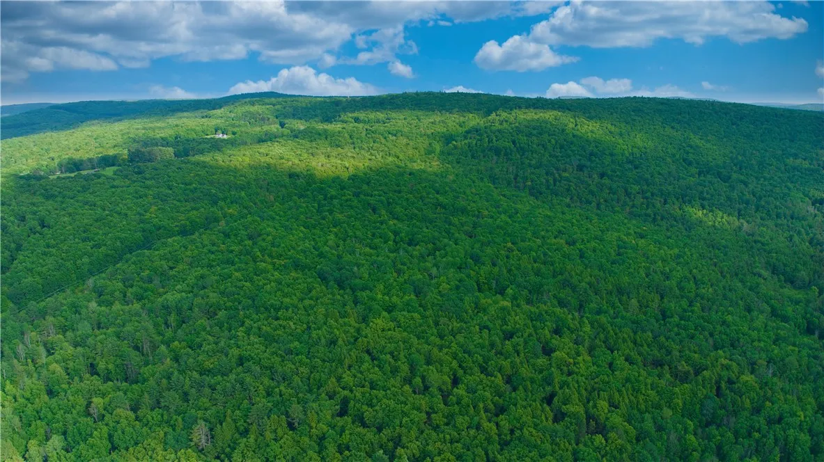 0 Pine Hill Road, Sidney, New York 13838, Sidney, New York 13838, ,Land,For Sale,0 Pine Hill Road, Sidney, New York 13838,R1581911