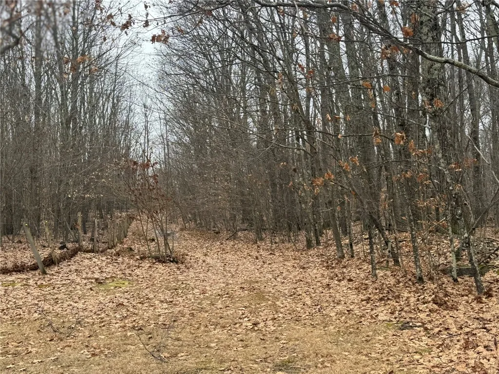 0 Pine Hill Road, Sidney, New York 13838, Sidney, New York 13838, ,Land,For Sale,0 Pine Hill Road, Sidney, New York 13838,R1581911